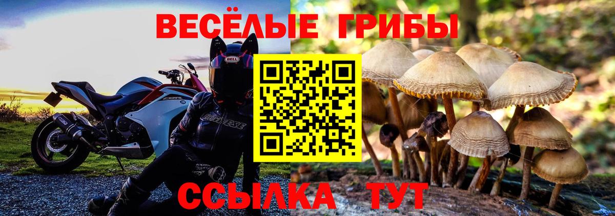 Галлюциногенные грибы Cubensis Ноябрьск